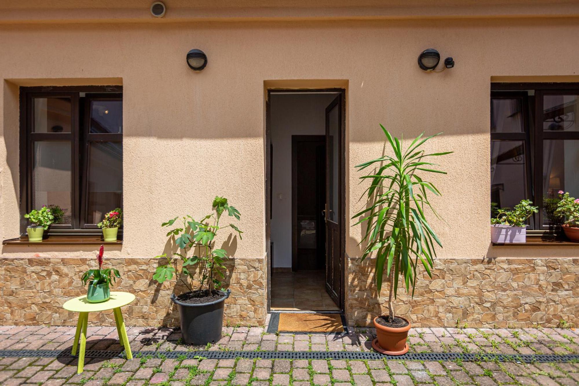 Dream Guesthouse Brassó Kültér fotó
